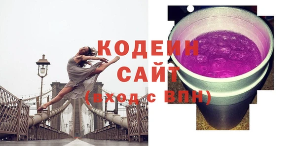 ПСИЛОЦИБИНОВЫЕ ГРИБЫ Арсеньев