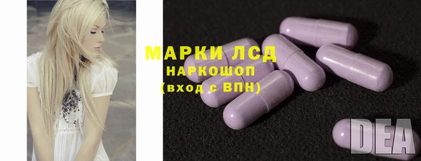 ПСИЛОЦИБИНОВЫЕ ГРИБЫ Арсеньев