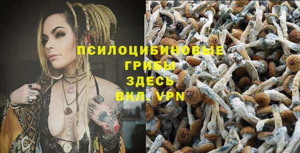 MDMA Аркадак